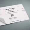 Wall Decals